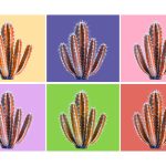 untitled design (15)