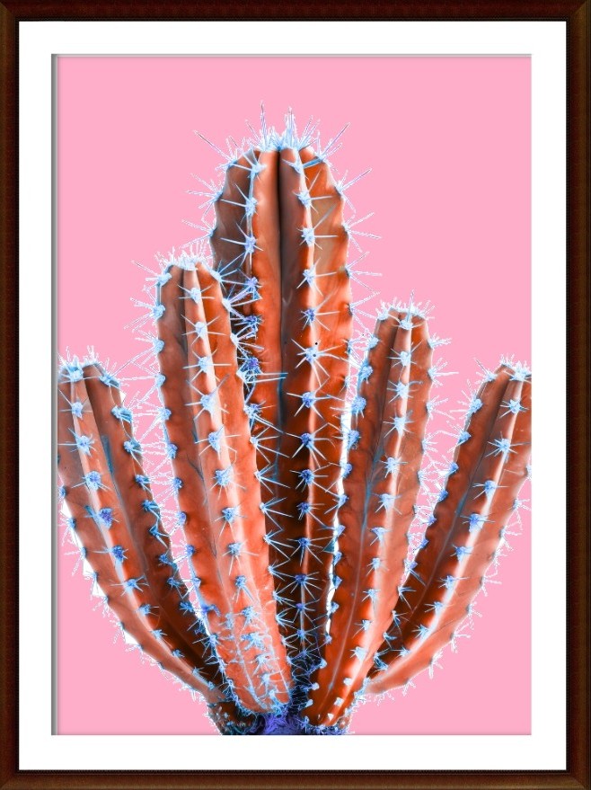 untitled design 1