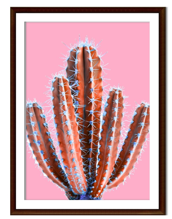untitled design 1